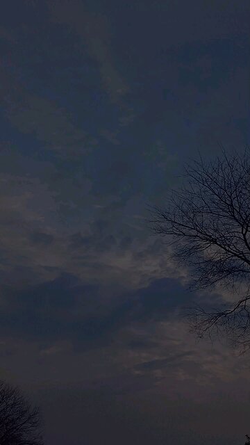 Surah Luqman | Islam Sobhi | Beautiful Recitation #quran #islam #islamic #surah