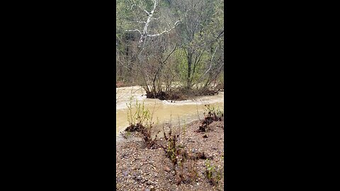 Flooding update Aprl 5 2025 (6)