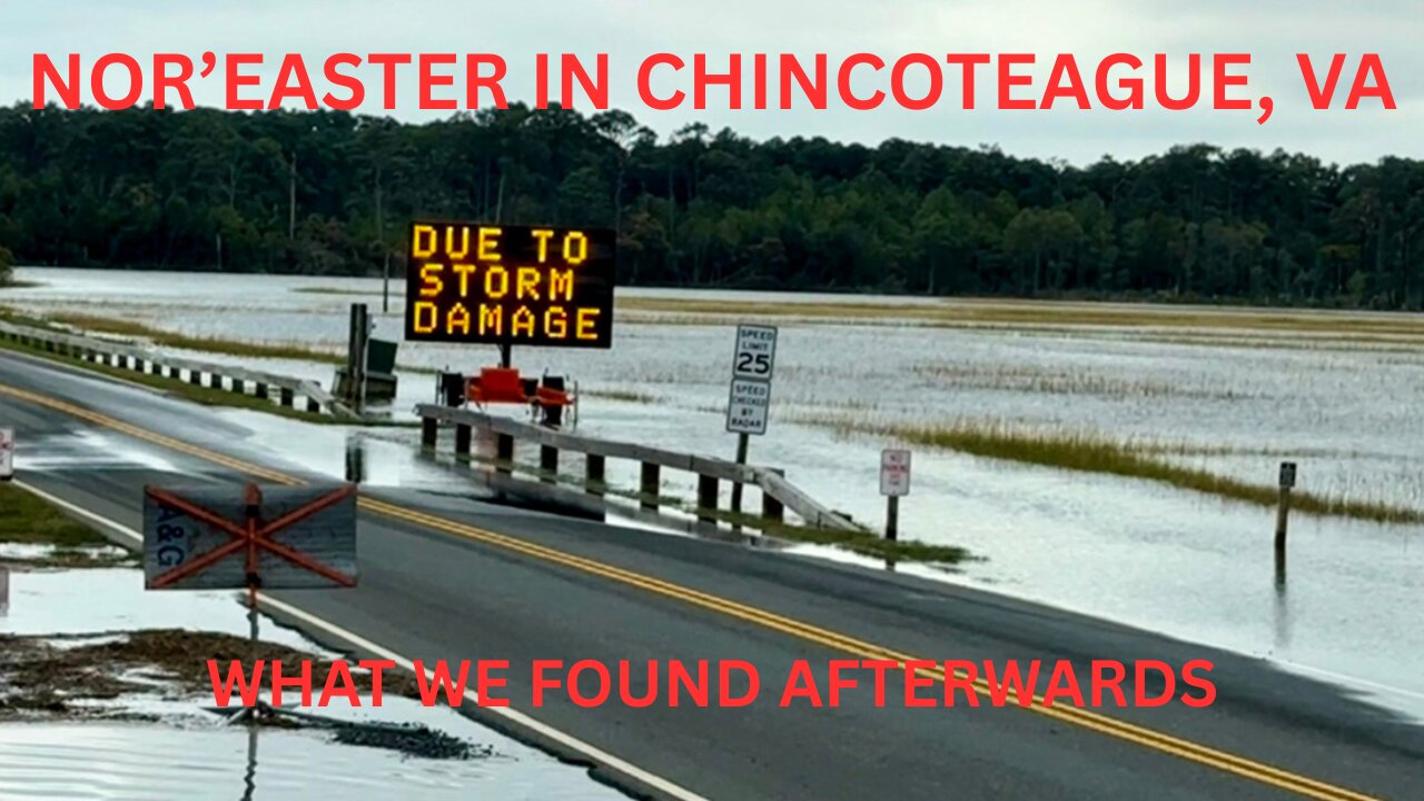 Driving Around Chincoteague, VA a Day After the Nor’easter & What We Found