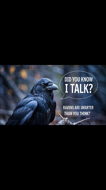 Ravens Are Smarter Than You Think! 🧠 (Mind-Blowing Facts You Never Knew)