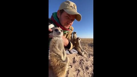 A Little Mix of Everything #2 "Animals"