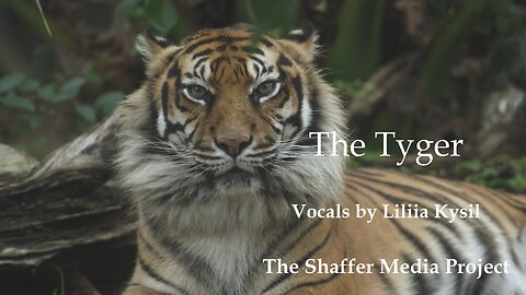 The Tyger (remix) - Vocals by Liliia Kysil