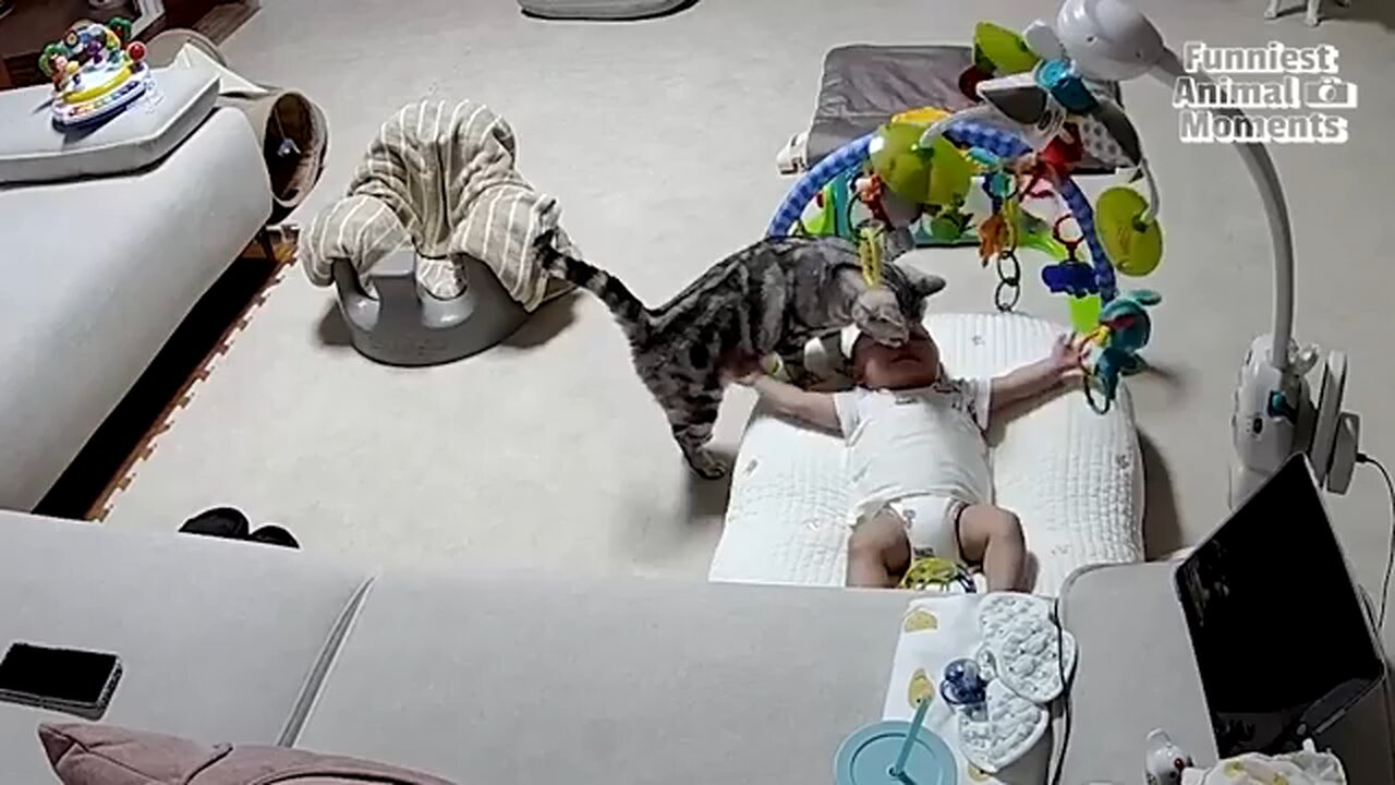 funny video
