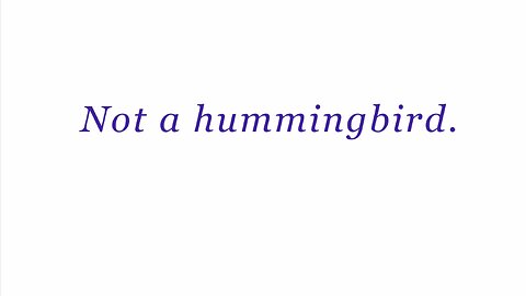Not a hummingbird.