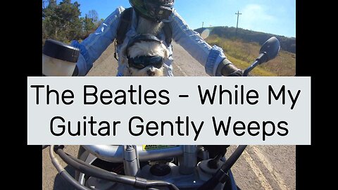 The Beatles - While My Guitar Gently Weeps