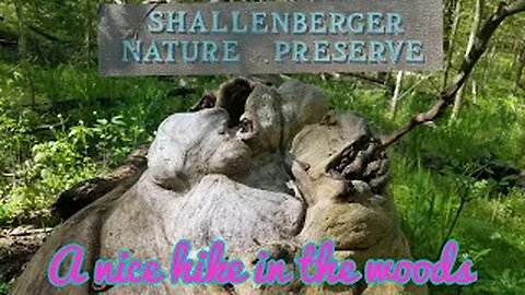 Shallenberger State Nature Preserve - Lancaster Ohio
