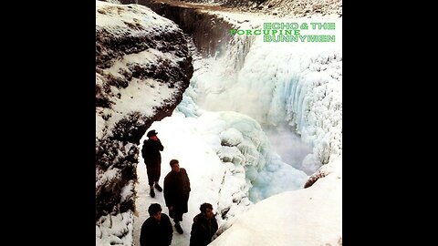 Echo & The Bunnymen - Porcupine (1983) [Full Album]