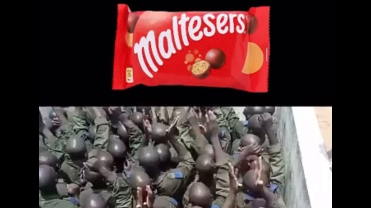 Maltesers