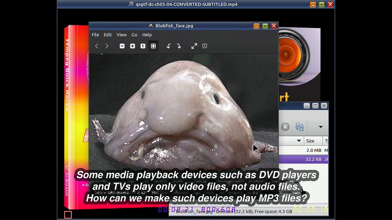 Chapter 5 of book ‘Quick Start Guide to FFmpeg’ — Converting audio to video