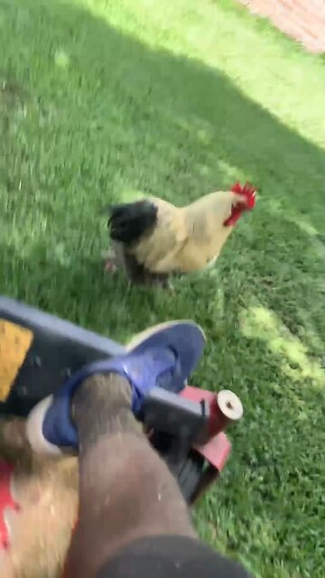 🤣 Episode 12 Out Now‼️ Link In Bio