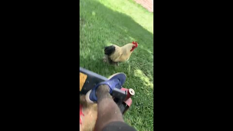 🤣 Episode 12 Out Now‼️ Link In Bio