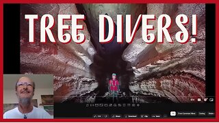 SUBACQUEI DEGLI ALBERI!