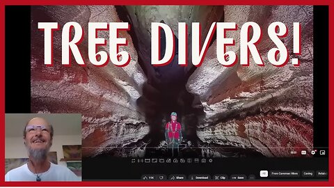 SUBACQUEI DEGLI ALBERI!