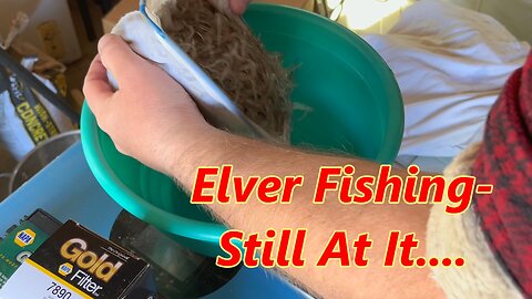 Elver Fishing- Sold Again