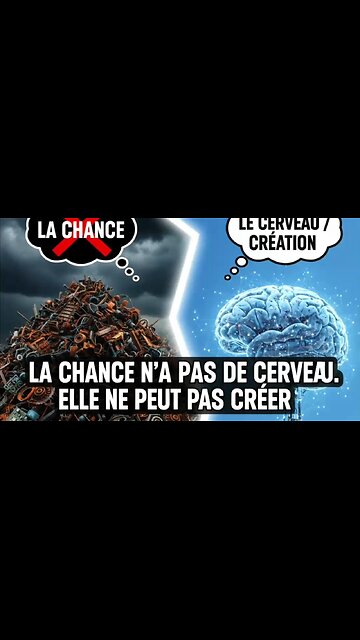 Hasard ou Créateur : que dit la Bible ? 🇫🇷