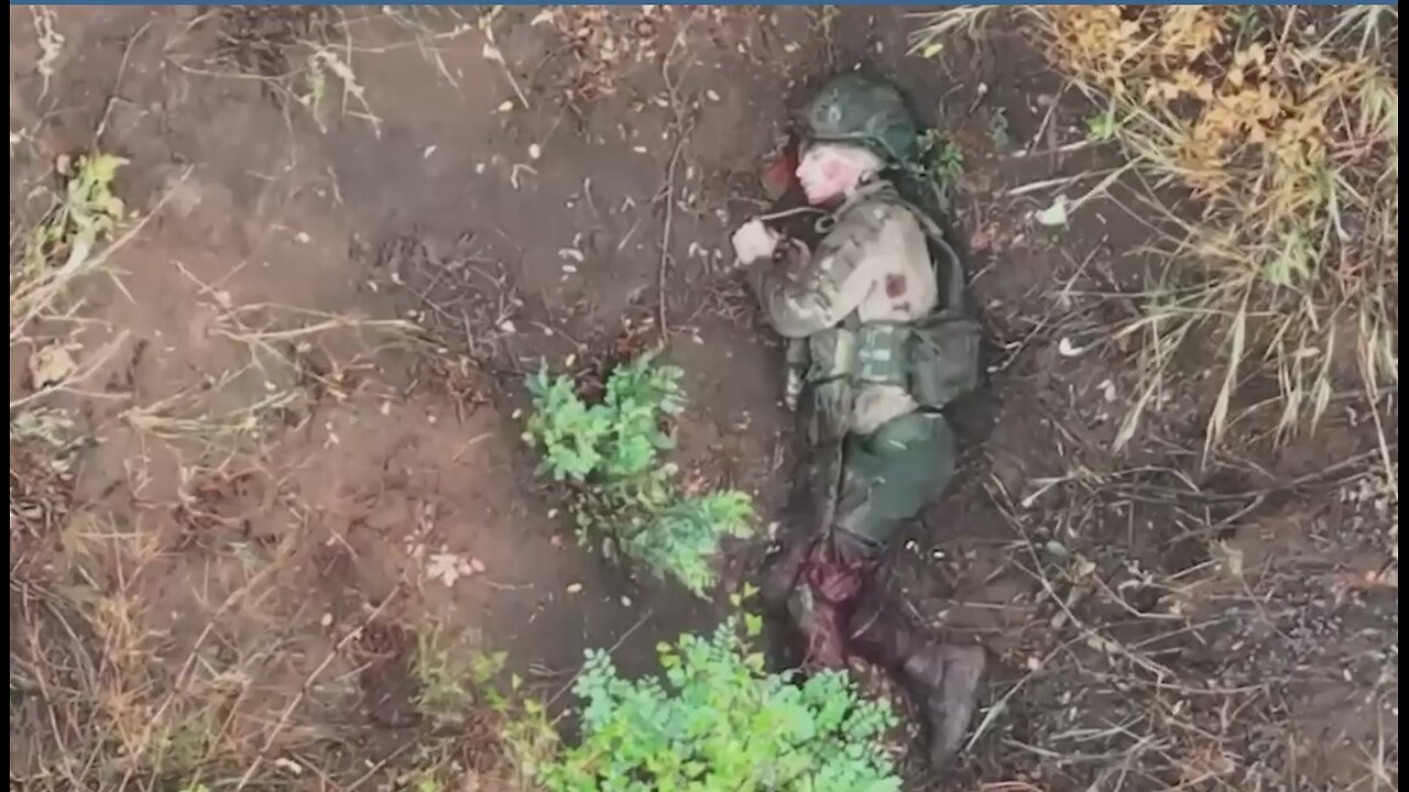 Война в Украине часть 431