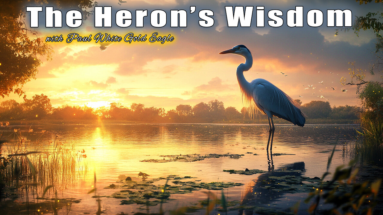 The Heron’s Wisdom: Embracing Presence, Flexibility & Soul Mastery in the New Golden Age