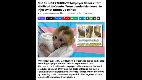 Grooming gangs everywhere