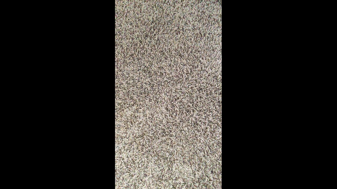 Test 501