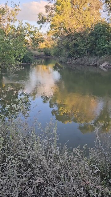 Nature Healing From the Flood