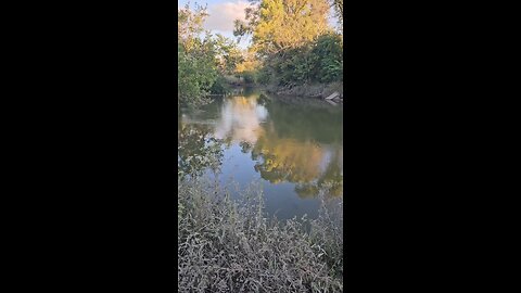 Nature Healing From the Flood