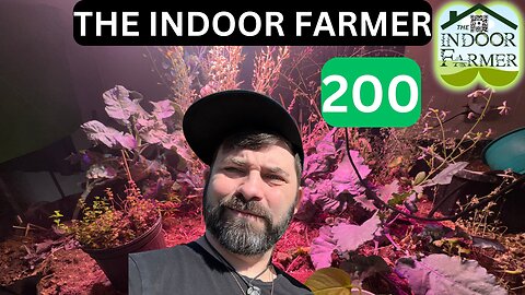 The Indoor Farmer ep 200! Let's Go On A Live Walk Through, Happy Labor Day!