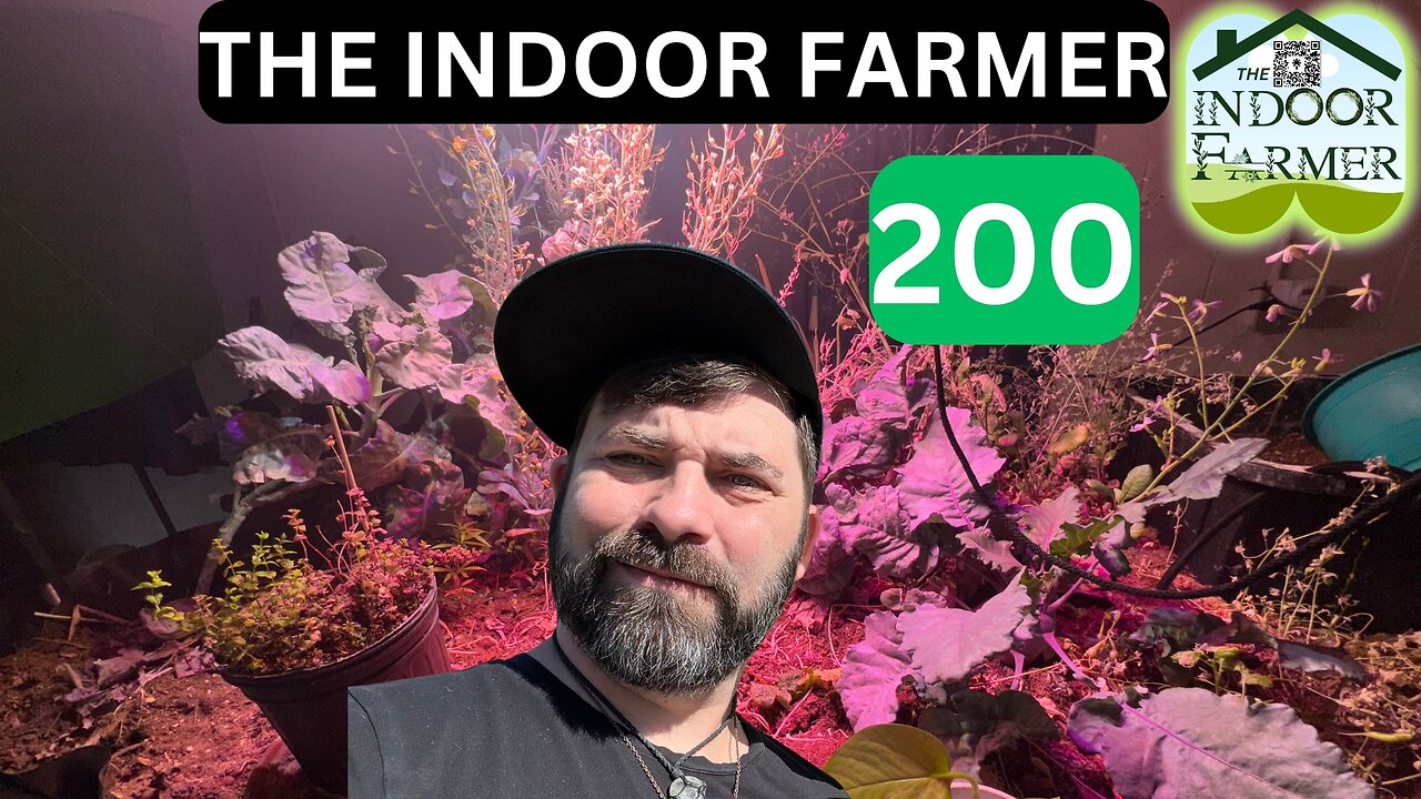 The Indoor Farmer ep 200! Let's Go On A Live Walk Through, Happy Labor Day!