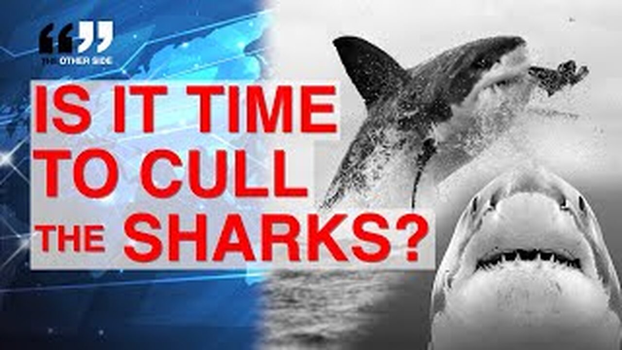 Sharks are Killing More People in Australia than Ever. Is it Time to Cull Again?