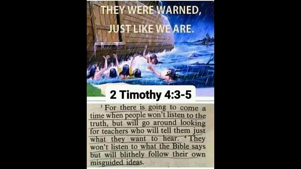old but gold 🐸🤓🇺🇲🐸😇