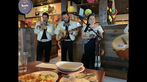 Avocado’s 2025 Cinco de Mayo celebration