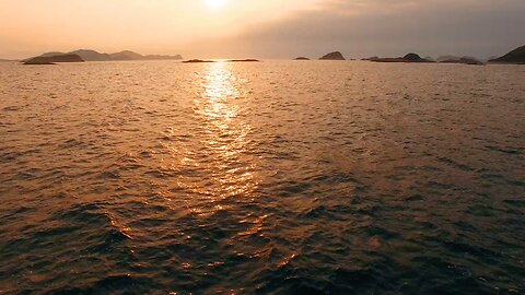 🌊🌊🌊 just vibing the wave 🌊🌊🌊