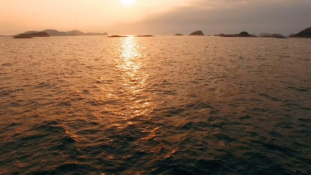 🌊🌊🌊 just vibing the wave 🌊🌊🌊