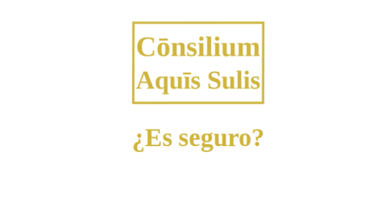 ¿Es seguro? (Español audio)