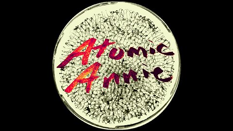 The Atomic Annie Interview "Pelude to Awesome"