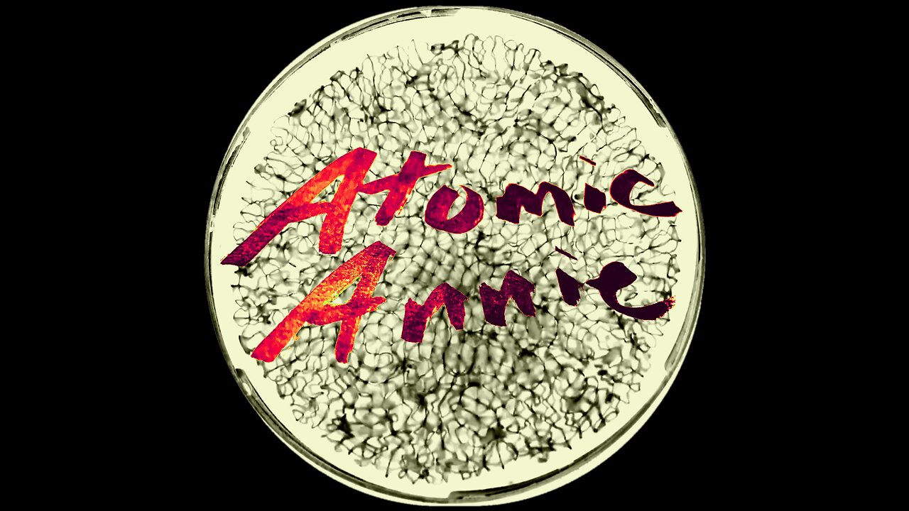The Atomic Annie Interview "Pelude to Awesome"