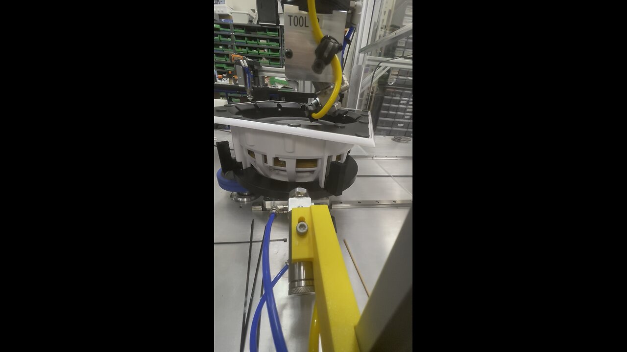 My project