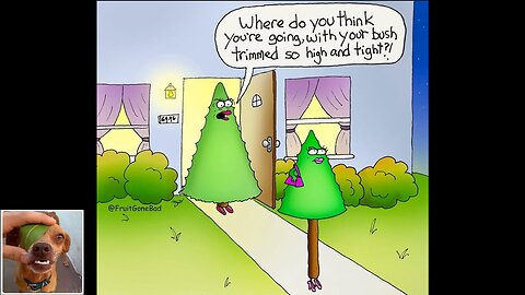 Memes That Will 99.0569% Make You Laugh. (e793)