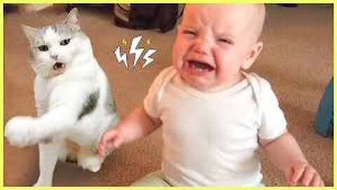 baby vs cats