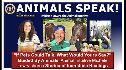 Top Horse Whisperer, Animal Intuitive Michele Lowry shares Miraculous Stories only God can Provide!