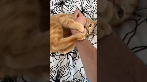 You Won't Believe What This Animal Just Did!
