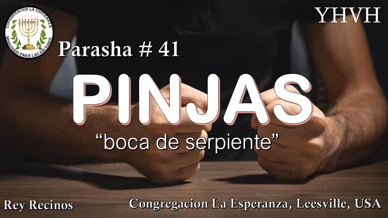 Parasha Pinjas
