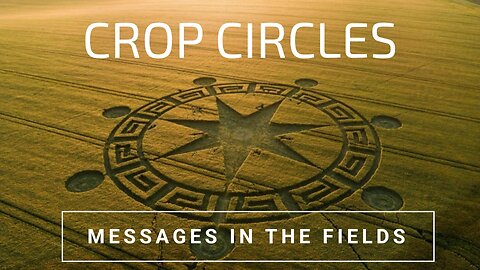 Crop Circles 2025 - Their Message To Humanity?