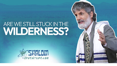 Numbers 14: Stupid is as Stupid Does | Shalom Adventures