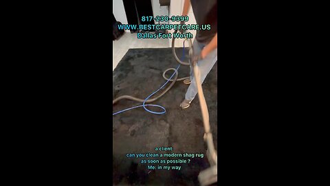 Area rug cleaning service