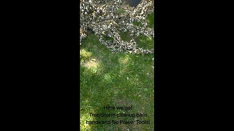 DIY Storm cleanup Zero Power Tools! You can do it! Bushcrafting Skills!