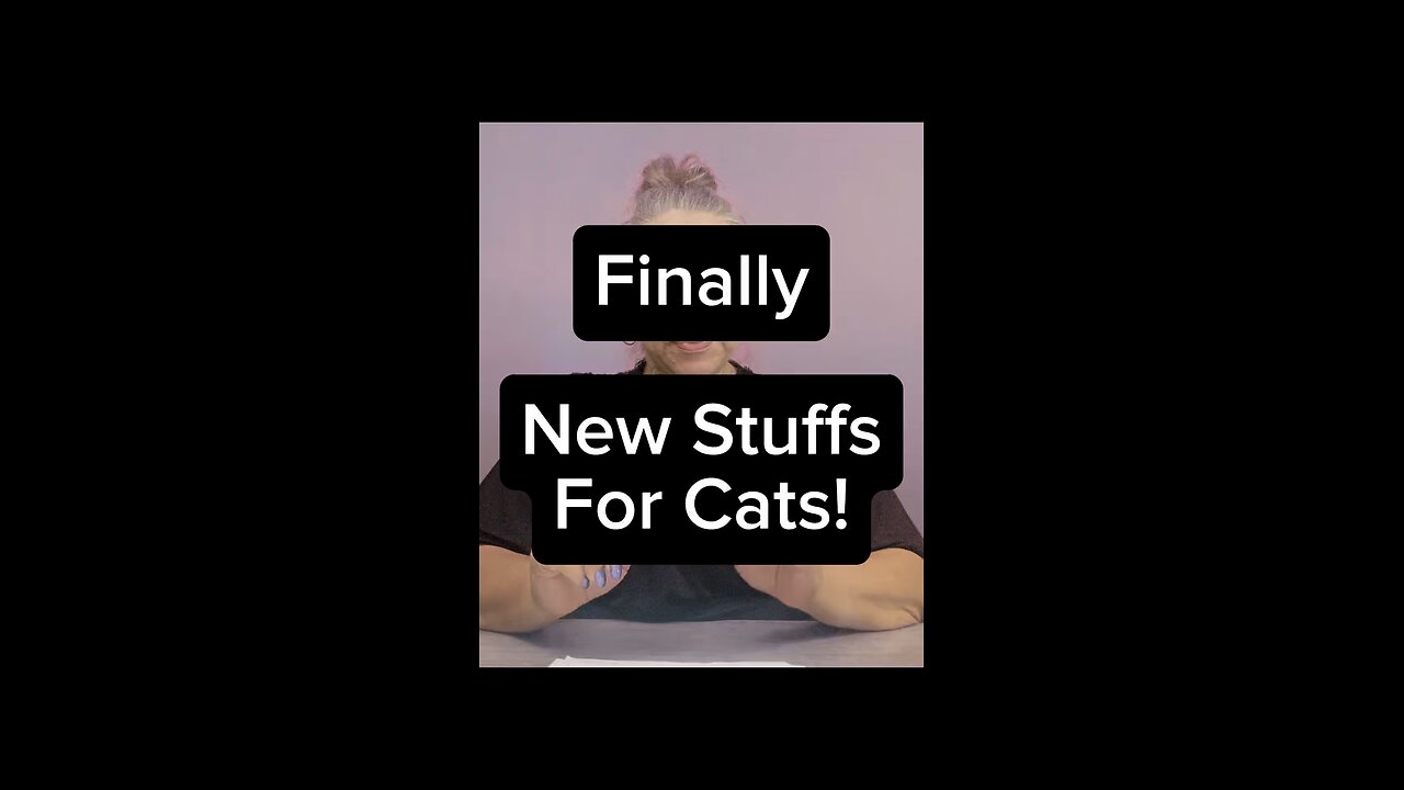 Finally New Stuffs For Cats! 🥰