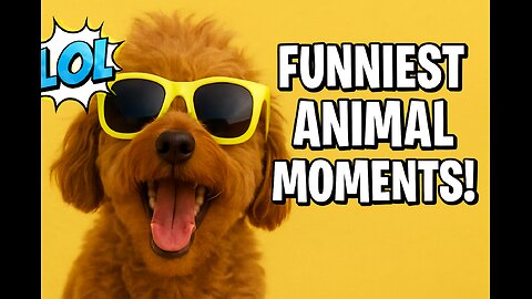 This video made me cry with laughter!Animals wreaking havoc