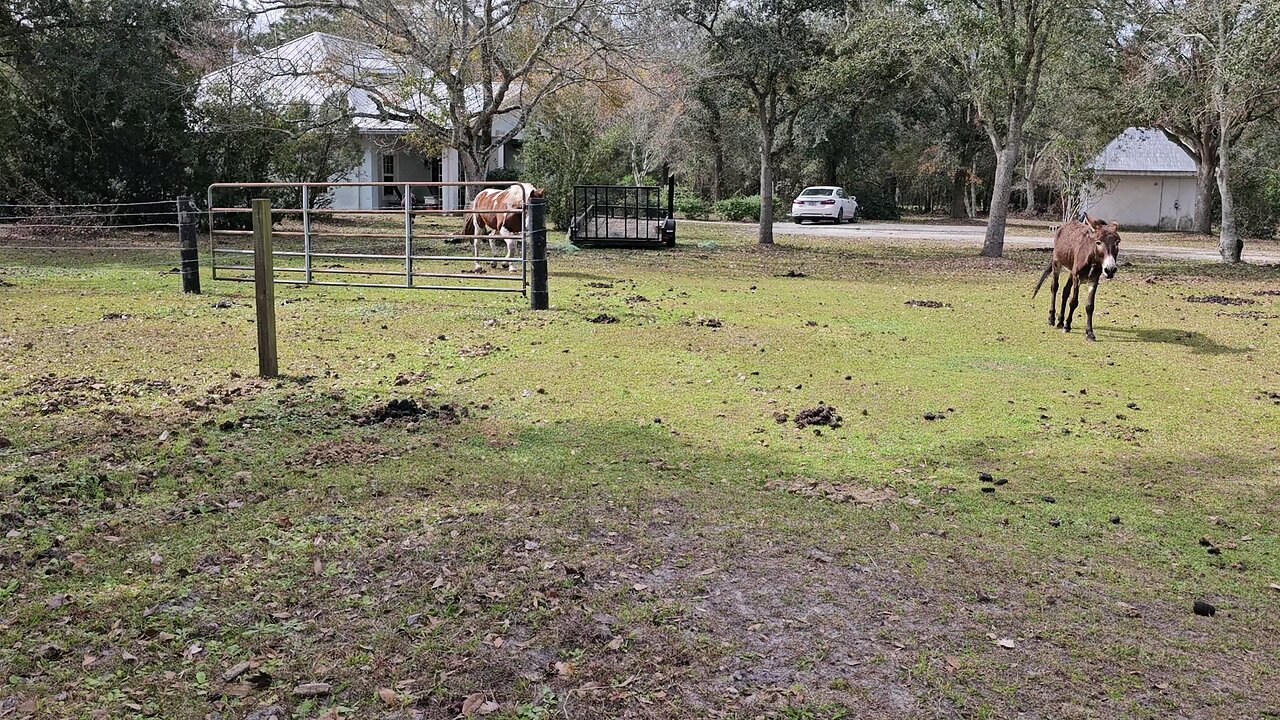 Home on the Range