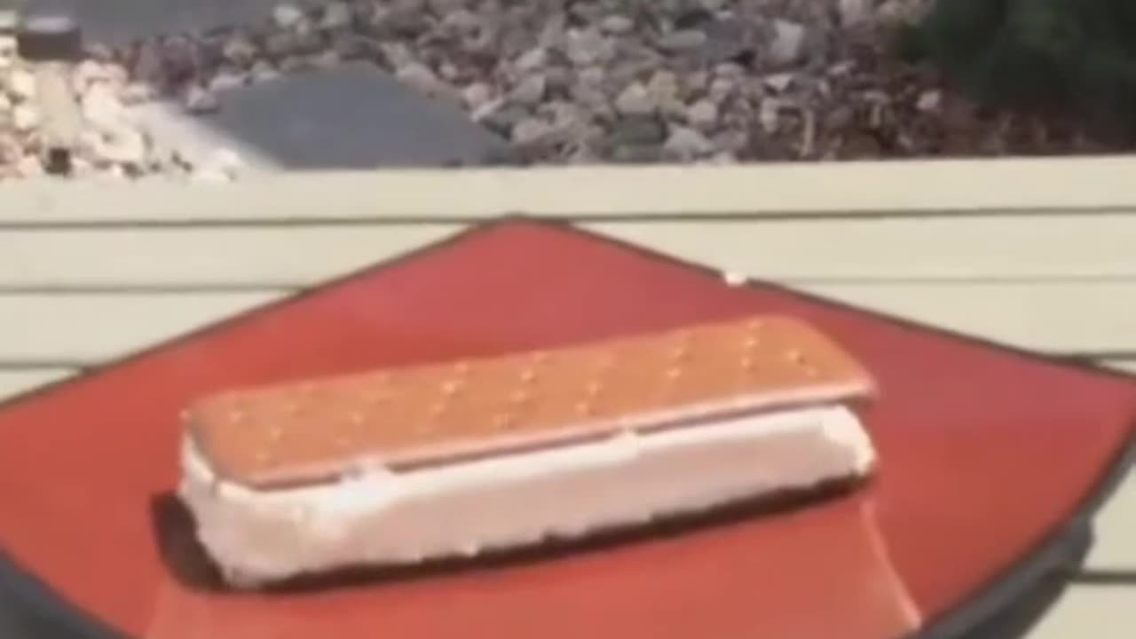 Ice cream sandwiches don't melt