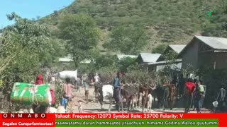 Oduu Ganama ONM-ABO Onkoloolessa 30-2025 itti dhiyaadhaa!